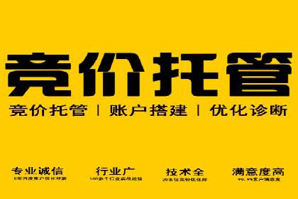 某行业巨头托管竞价sem的胜利之路